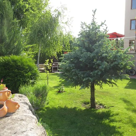 Fantasy Saint Constantine And Helena