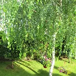 Fantasy Saint Constantine And Helena Apartament *