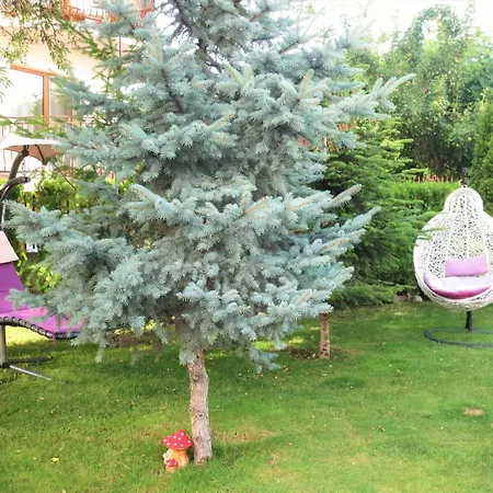 Fantasy Saint Constantine And Helena 公寓 圣君士坦丁和海伦那