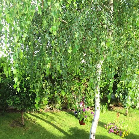 Fantasy Saint Constantine And Helena 公寓 *