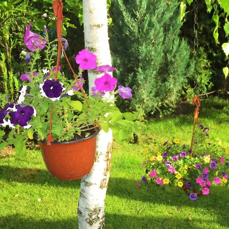 Appartement Fantasy Saint Constantine And Helena Sveti Konstantin