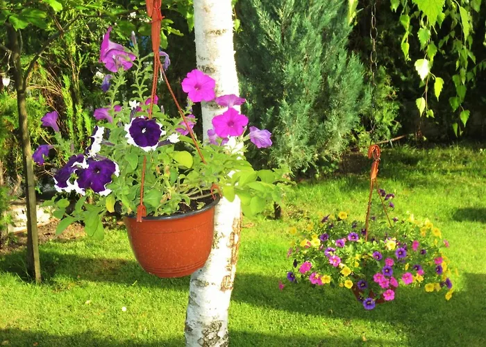 דירה Fantasy Saint Constantine And Helena סנט קונסטנטין והלנה